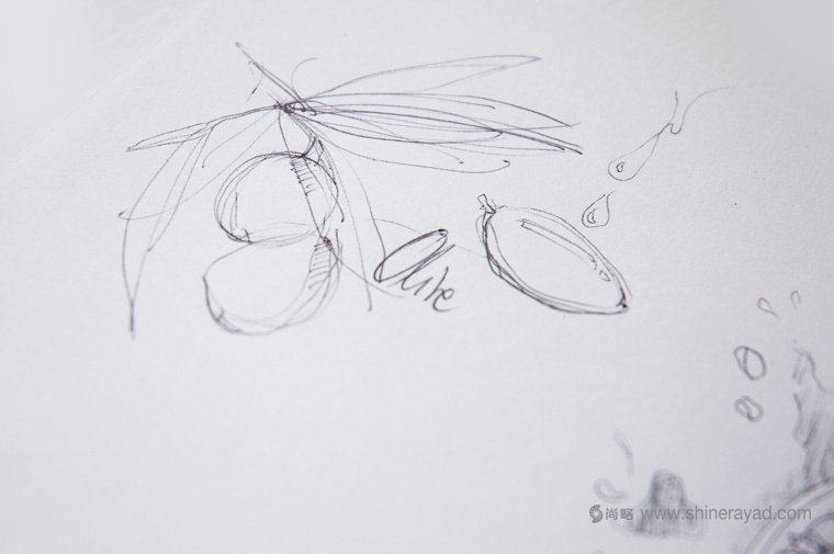 ORGANICALL有機化妝品宣傳畫冊與折頁設(shè)計花草插畫設(shè)計-上海畫冊設(shè)計公司5