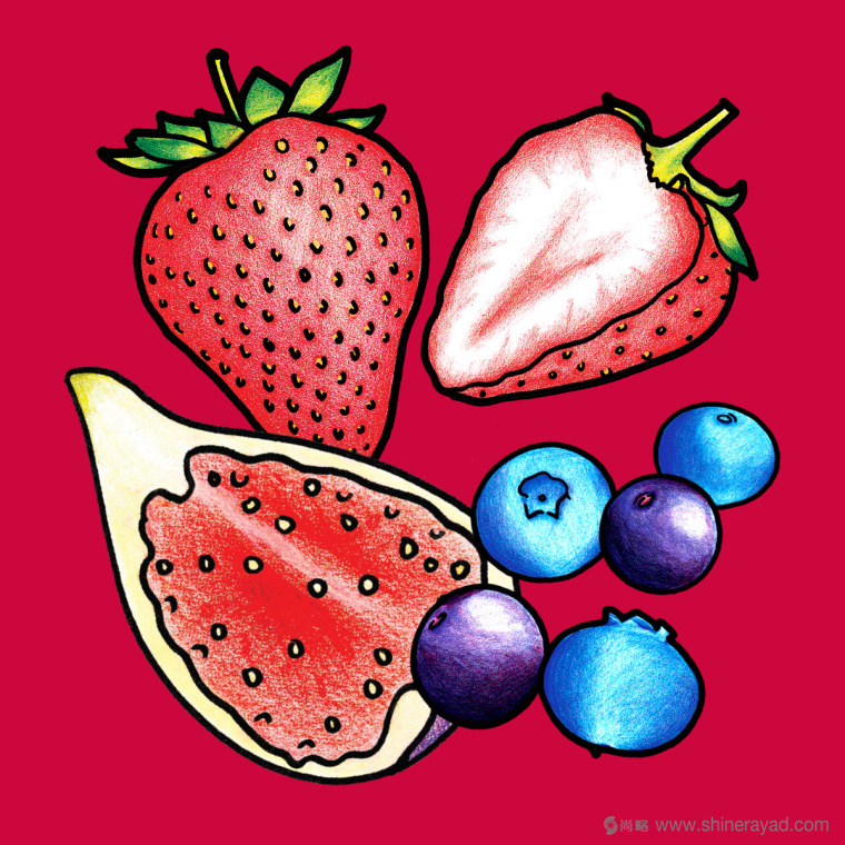 Figgin’ Fruit 無(wú)花果餅干包裝設(shè)計(jì)船長(zhǎng)人物水果插畫設(shè)計(jì)篇-上海食品包裝設(shè)計(jì)公司7