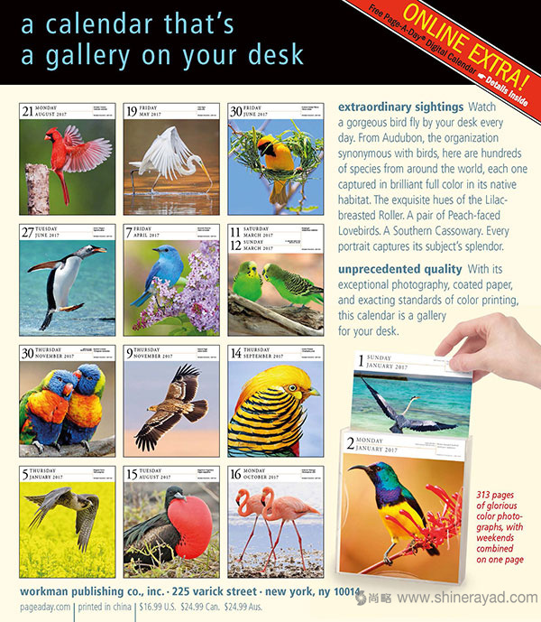 一頁(yè)一鳥日歷設(shè)計(jì)--2017年最佳臺(tái)歷設(shè)計(jì)靈感-上海品牌設(shè)計(jì)公司-上海平面設(shè)計(jì)公司