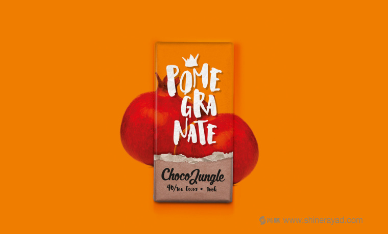 水果特寫插畫風(fēng)格 Choco Jungle 巧克力包裝設(shè)計-上海包裝設(shè)計公司