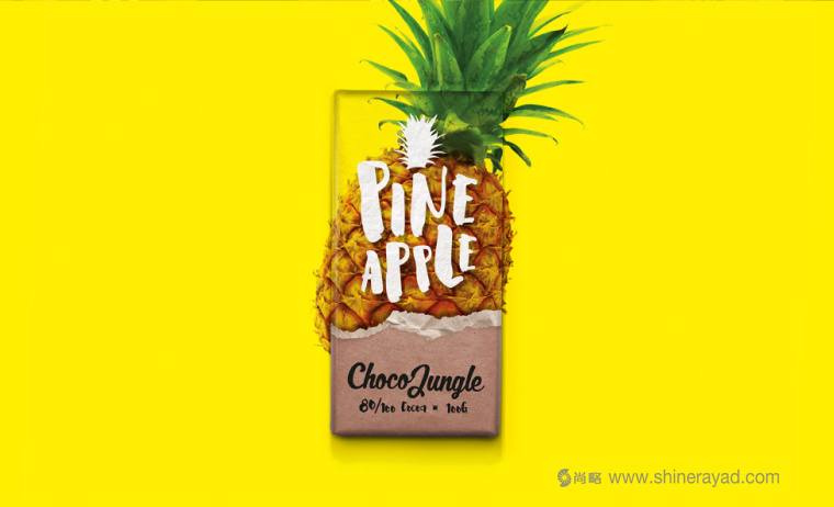 水果特寫插畫風(fēng)格 Choco Jungle 巧克力包裝設(shè)計-上海包裝設(shè)計公司