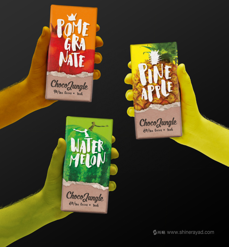 水果特寫插畫風格 Choco Jungle 巧克力包裝設計-上海包裝設計公司