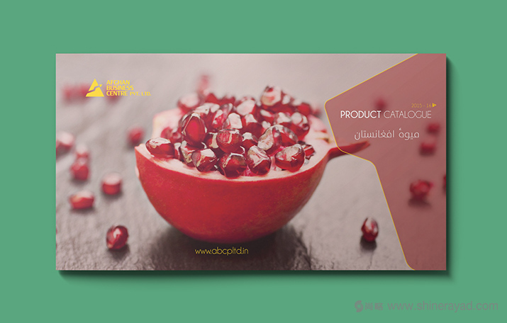 上海畫冊(cè)設(shè)計(jì)公司設(shè)計(jì)欣賞-高大上水果干果農(nóng)產(chǎn)品品牌宣傳畫冊(cè)設(shè)計(jì)-封面設(shè)計(jì)1