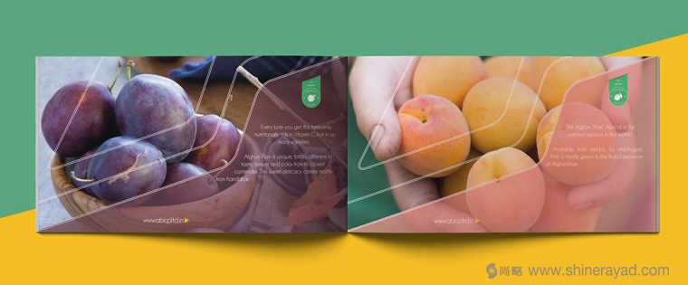 上海畫冊(cè)設(shè)計(jì)公司設(shè)計(jì)欣賞-高大上水果干果農(nóng)產(chǎn)品品牌宣傳畫冊(cè)設(shè)計(jì)2