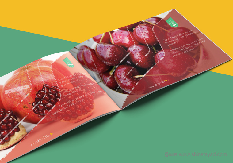 上海畫冊(cè)設(shè)計(jì)公司設(shè)計(jì)欣賞-高大上水果干果農(nóng)產(chǎn)品品牌宣傳畫冊(cè)設(shè)計(jì)3