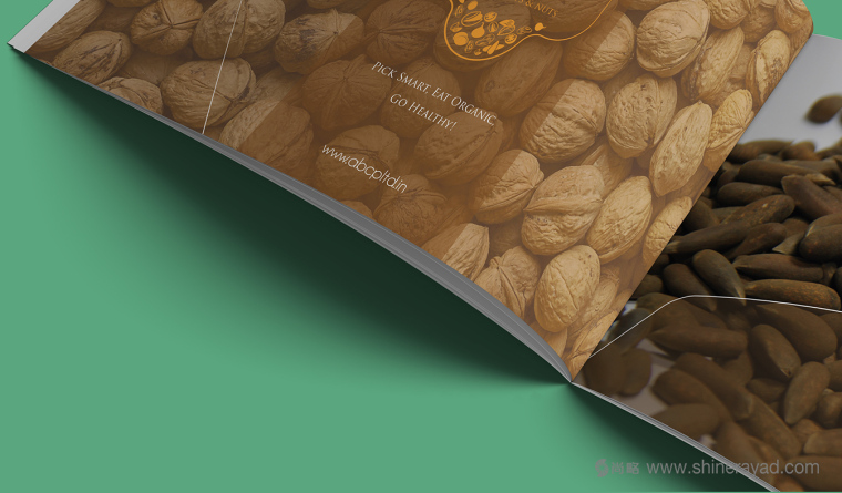 上海畫冊(cè)設(shè)計(jì)公司設(shè)計(jì)欣賞-高大上水果干果農(nóng)產(chǎn)品品牌宣傳畫冊(cè)設(shè)計(jì)7