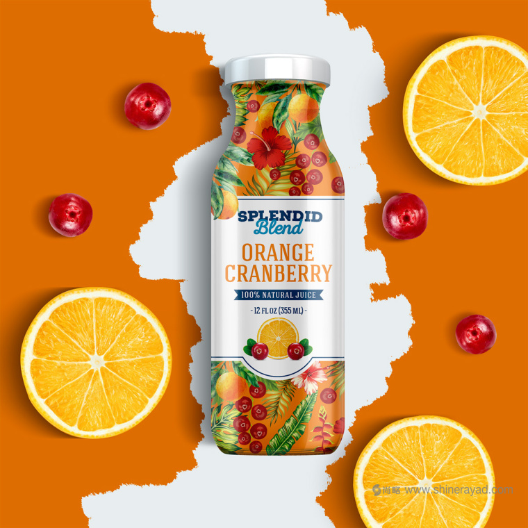 大面積水果插畫加留白版式的Splendid 果汁飲料包裝設(shè)計(jì)作品欣賞