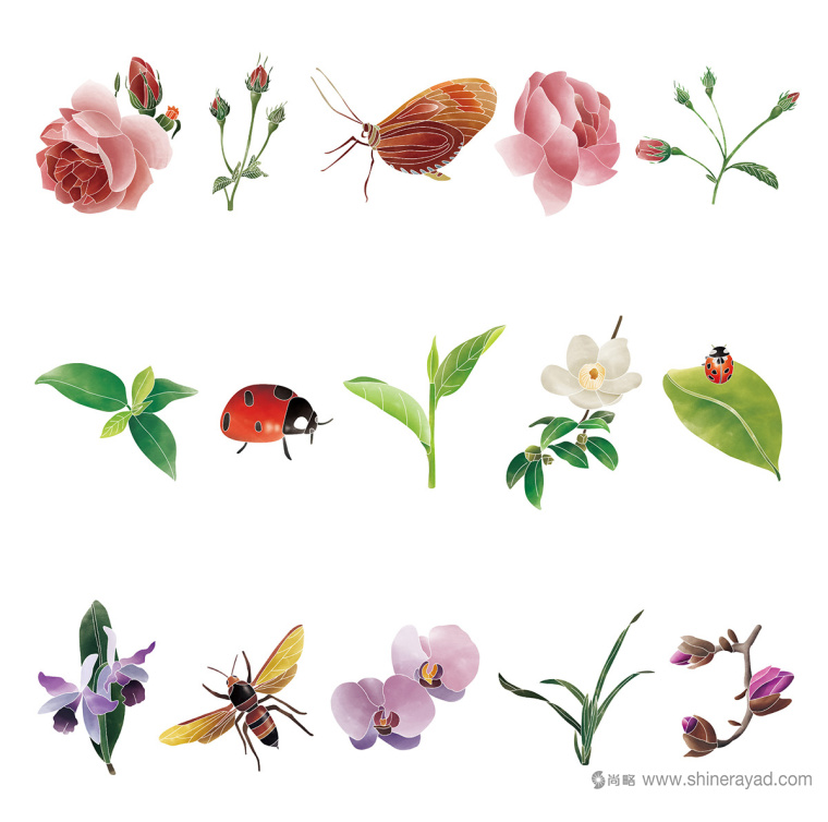 Rosehill 面膜包裝插畫設(shè)計(jì)清新茶花 - 瓢蟲-上海化妝品包裝設(shè)計(jì)公司9 Rosehill 面膜包裝插畫設(shè)計(jì)清新茶花 - 瓢蟲-上?;瘖y品包裝設(shè)計(jì)公司9