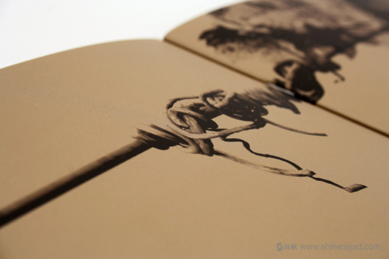 非常高檔藝術(shù)的暗金色Covi?as葡萄酒酒莊宣傳畫冊設(shè)計-上海宣傳畫冊設(shè)計公司3