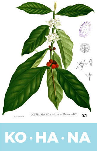 KOHANA咖啡包裝花朵插畫(huà)設(shè)計(jì)-上海包裝設(shè)計(jì)公司 KOHANA咖啡包裝花朵插畫(huà)設(shè)計(jì)-上海包裝設(shè)計(jì)公司