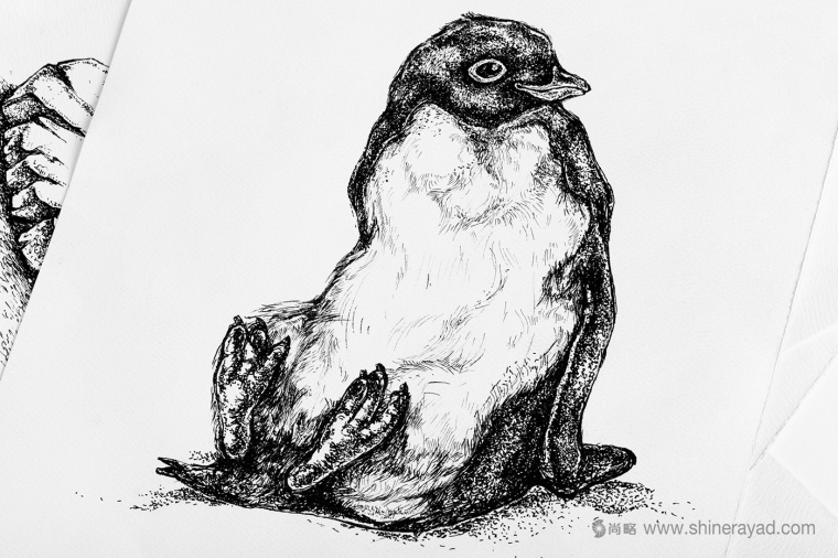 Adelie & the Stone 購物中心節(jié)日品牌形象設(shè)計與插畫禮品包裝設(shè)計