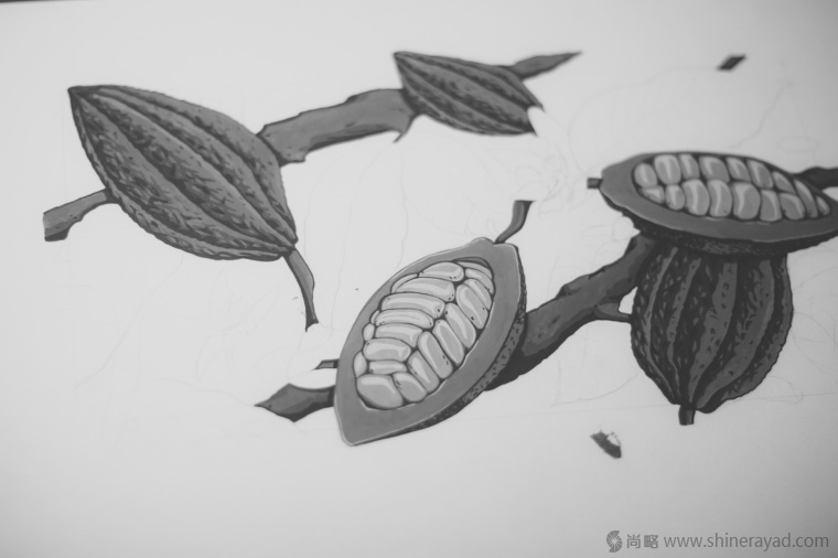 國(guó)外手繪植物花卉插畫(huà)風(fēng)格洋酒包裝設(shè)計(jì)-curio杜松子酒和伏特加酒包裝設(shè)計(jì)4