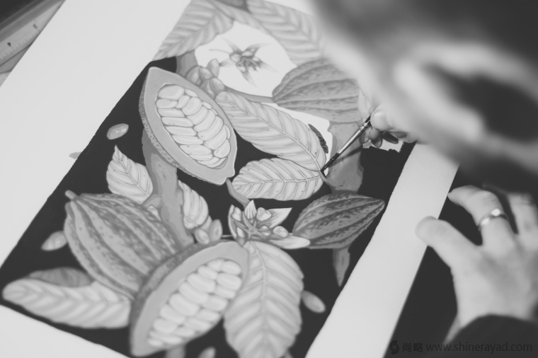 國(guó)外手繪植物花卉插畫(huà)風(fēng)格洋酒包裝設(shè)計(jì)-curio杜松子酒和伏特加酒包裝設(shè)計(jì)5