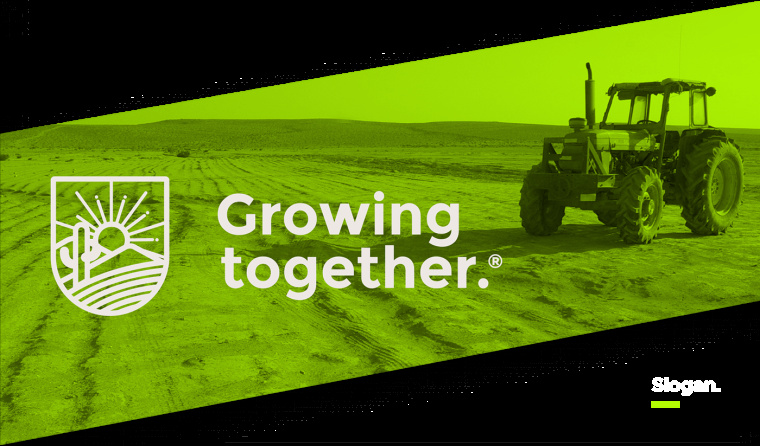 Desierto Verde 有機農產品品品牌LOGO設計-上海LOGO設計公司4