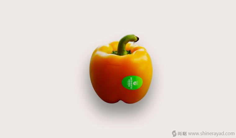 Desierto Verde 有機農產品品品牌LOGO設計-上海LOGO設計公司8