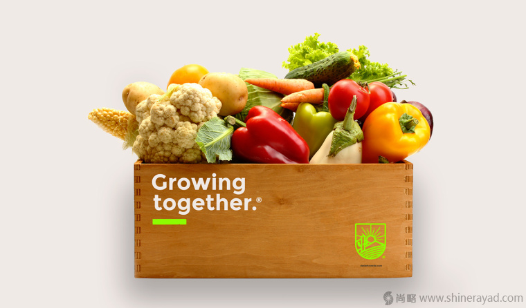 Desierto Verde 有機農產品品品牌LOGO設計-上海LOGO設計公司10