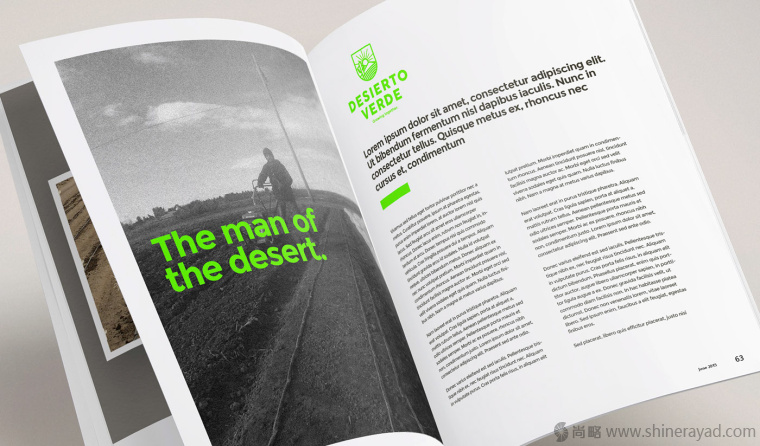 Desierto Verde 有機農產品品品牌LOGO設計-上海LOGO設計公司11