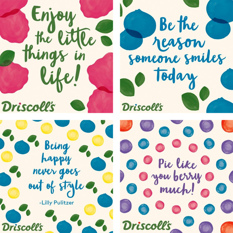 Driscoll''''s 漿果新品牌形象設(shè)計VI設(shè)計--輔助圖形設(shè)計-上海VI設(shè)計公司