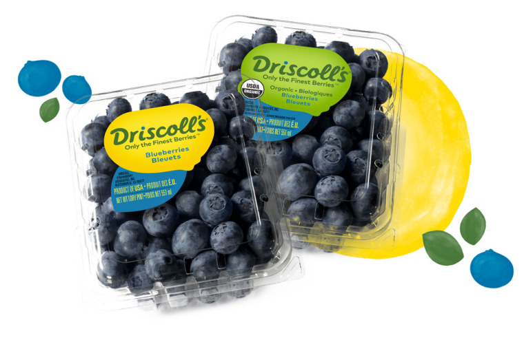 Driscoll''''s 漿果草莓藍(lán)莓樹莓黑莓水果農(nóng)產(chǎn)品新包裝設(shè)計-上海包裝設(shè)計公司