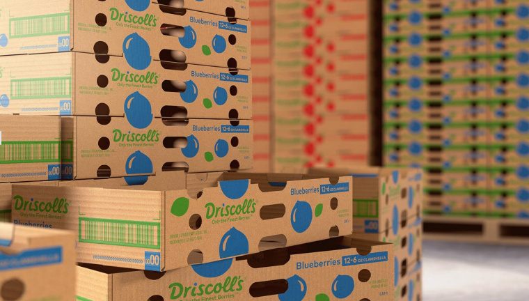 Driscoll''''s 漿果草莓藍(lán)莓樹莓黑莓農(nóng)產(chǎn)品瓦能紙外箱包裝設(shè)計-上海包裝設(shè)計公司