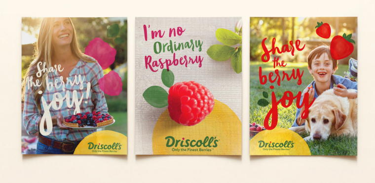 Driscoll''s 漿果新品牌形象設(shè)計-平面廣告海報設(shè)計-上海品牌策劃設(shè)計公司