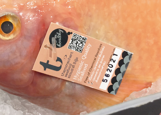 THAMMACHART 海鮮品牌logo設(shè)計(jì)與海產(chǎn)品包裝設(shè)計(jì)-上海LOGO設(shè)計(jì)公司-上海包裝設(shè)計(jì)公司7 THAMMACHART 海鮮品牌logo設(shè)計(jì)與海產(chǎn)品包裝設(shè)計(jì)-上海LOGO設(shè)計(jì)公司-上海包裝設(shè)計(jì)公司7