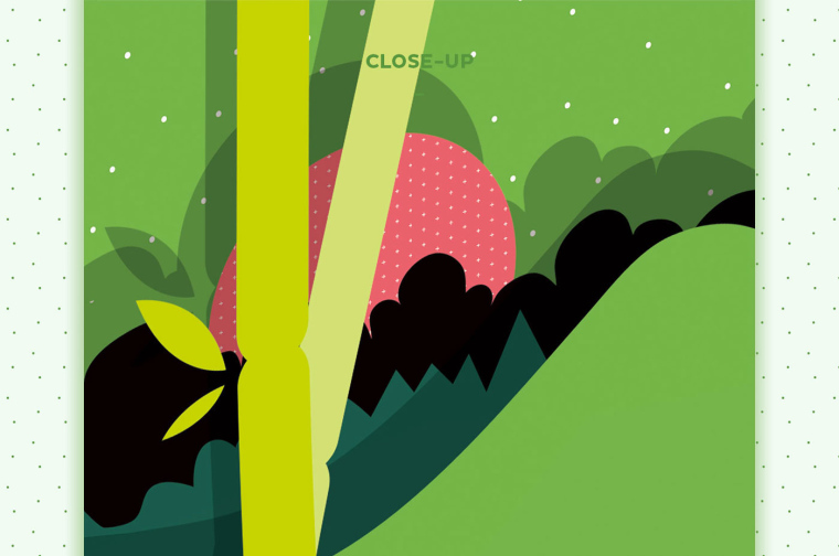 上海包裝設計公司-美麗加芬 Just Snail 蝸牛竹萃系列化妝品護膚品牌包裝設計4