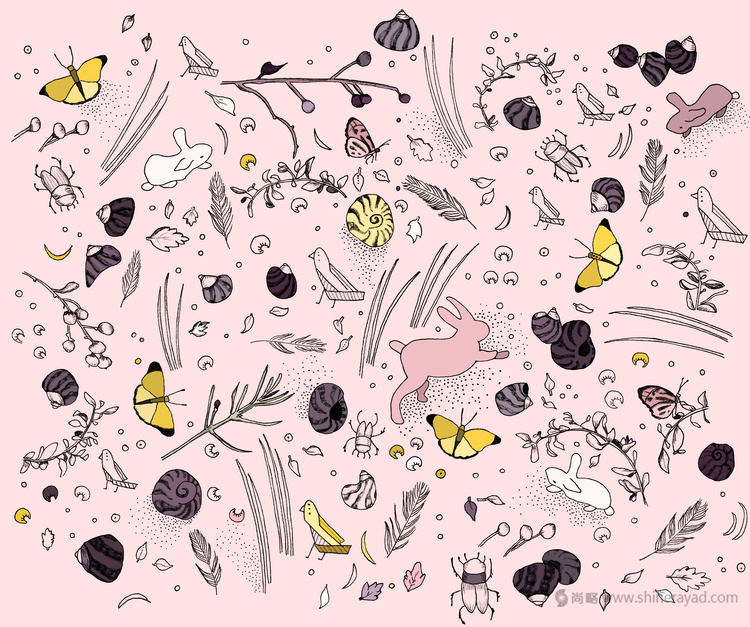 上海包裝設(shè)計(jì)公司-EXPRESSION 松露巧克力包裝設(shè)計(jì)包裝插畫設(shè)計(jì)2