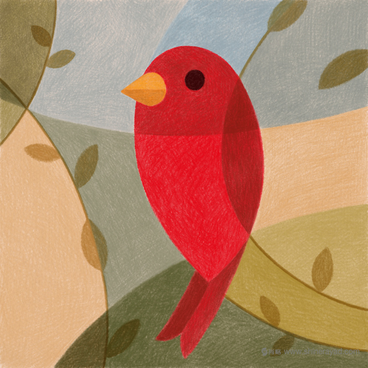 幾何矢量鳥類插畫設(shè)計-上海品牌形象設(shè)計公司3