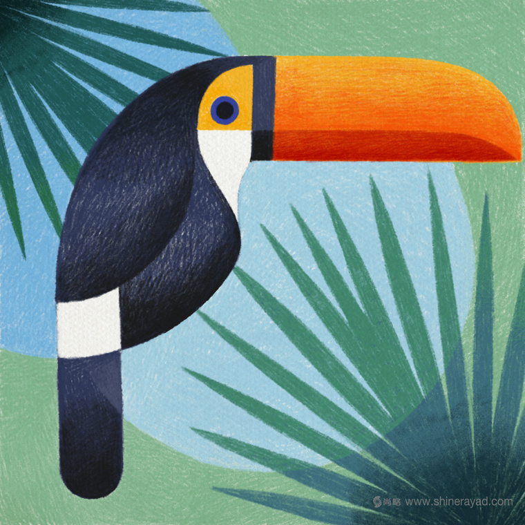 幾何矢量鳥類插畫設(shè)計-上海品牌形象設(shè)計公司2