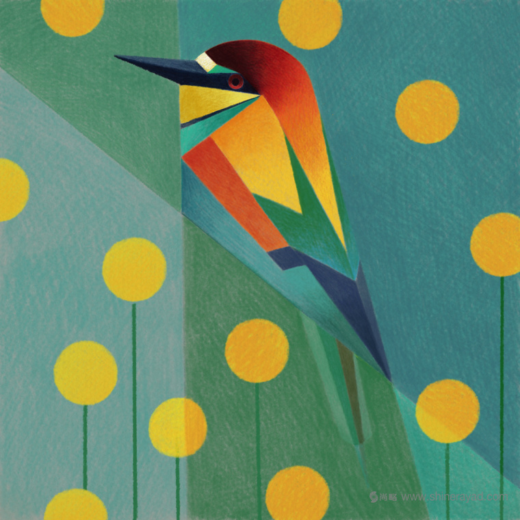 幾何矢量鳥類插畫設(shè)計-上海品牌形象設(shè)計公司5
