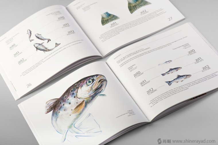 上海畫冊設(shè)計公司欣賞拯救瀕臨滅絕動物宣傳畫冊設(shè)計與動物藝術(shù)插畫設(shè)計4 上海畫冊設(shè)計公司欣賞拯救瀕臨滅絕動物宣傳畫冊設(shè)計與動物藝術(shù)插畫設(shè)計4