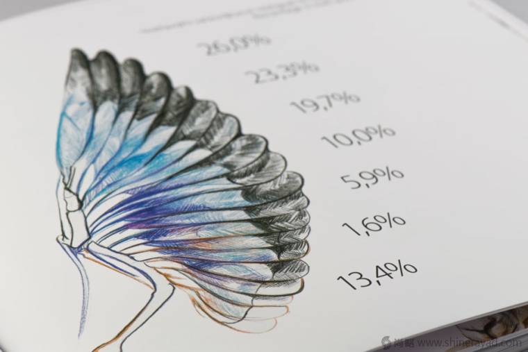 上海畫冊設(shè)計公司欣賞拯救瀕臨滅絕動物宣傳畫冊設(shè)計與動物藝術(shù)插畫設(shè)計10 上海畫冊設(shè)計公司欣賞拯救瀕臨滅絕動物宣傳畫冊設(shè)計與動物藝術(shù)插畫設(shè)計10