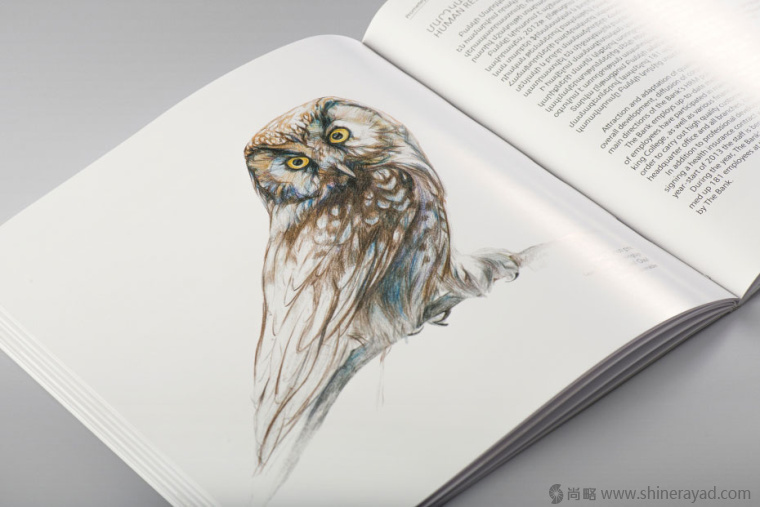 上海畫冊設(shè)計公司欣賞拯救瀕臨滅絕動物宣傳畫冊設(shè)計與動物藝術(shù)插畫設(shè)計14 上海畫冊設(shè)計公司欣賞拯救瀕臨滅絕動物宣傳畫冊設(shè)計與動物藝術(shù)插畫設(shè)計14