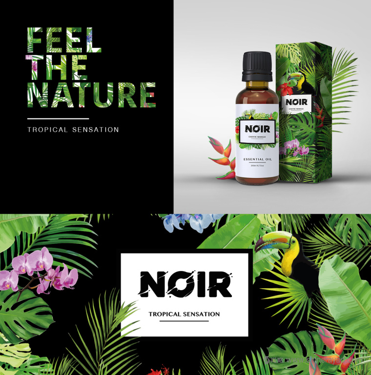 熱帶雨林插畫 NOIR 清潔美容產(chǎn)品化妝品包裝設(shè)計與品牌形象設(shè)計-上海品牌設(shè)計公司3