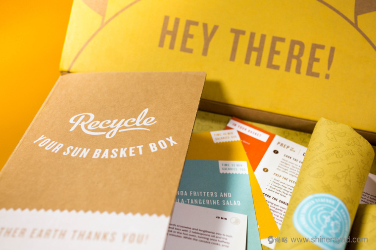 陽(yáng)光菜籃有機(jī)農(nóng)場(chǎng)蔬菜配送快遞服務(wù)品牌VI形象設(shè)計(jì)上海VI設(shè)計(jì)公司4