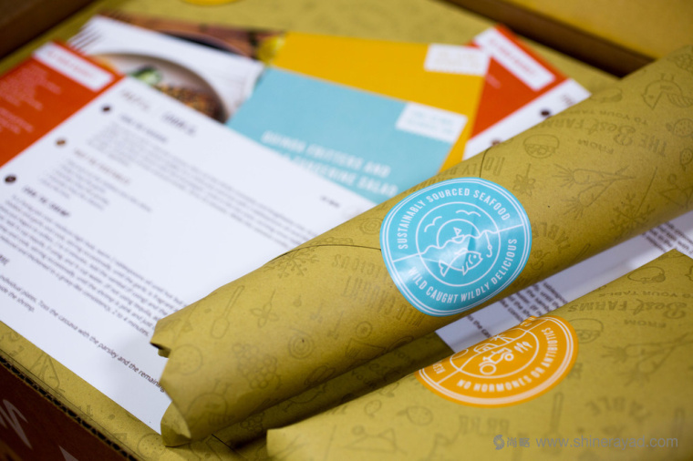 陽(yáng)光菜籃有機(jī)農(nóng)場(chǎng)蔬菜配送快遞服務(wù)品牌VI形象設(shè)計(jì)-上海VI設(shè)計(jì)公司6