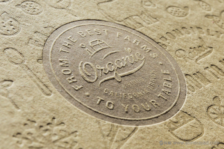 陽(yáng)光菜籃有機(jī)農(nóng)場(chǎng)蔬菜配送快遞服務(wù)品牌VI形象設(shè)計(jì)-上海VI設(shè)計(jì)公司15