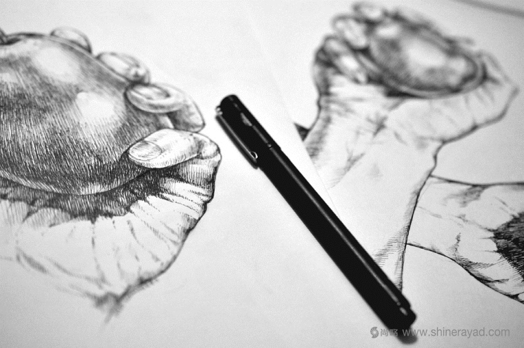 手繪寫意風(fēng)格 OPRE 蘋果酒包裝設(shè)計-上海果酒包裝設(shè)計公司4 手繪寫意風(fēng)格 OPRE 蘋果酒包裝設(shè)計-上海果酒包裝設(shè)計公司4