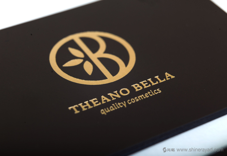 Theano Bella 美容化妝品logo設(shè)計-上海logo設(shè)計公司12 Theano Bella 美容化妝品logo設(shè)計-上海logo設(shè)計公司12