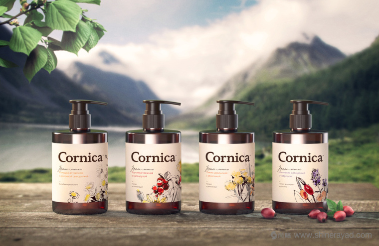 植物素描與水彩插畫CORNICA洗發(fā)水沐浴露清潔衛(wèi)生與天然化妝品包裝設(shè)計-上海包裝設(shè)計公司6