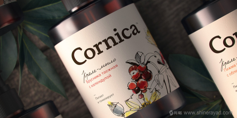 植物素描與水彩插畫CORNICA洗發(fā)水沐浴露清潔衛(wèi)生與天然化妝品包裝設(shè)計-上海包裝設(shè)計公司1