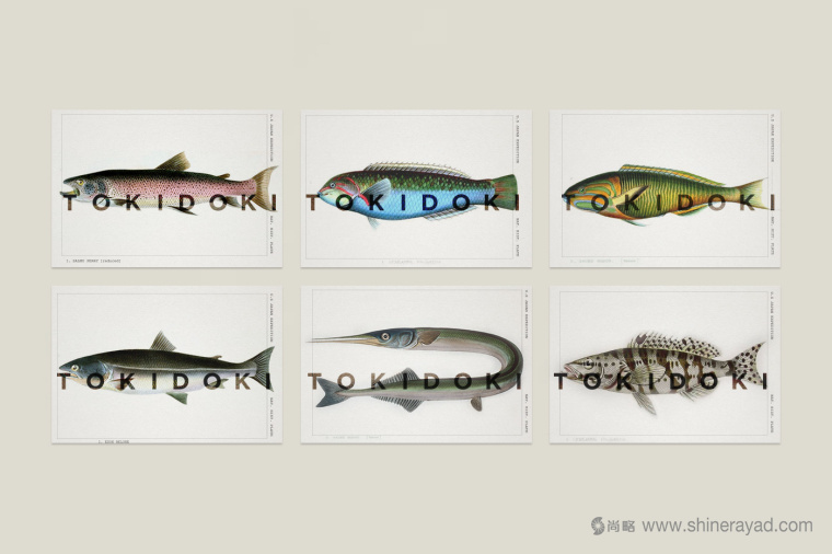 Tokidoki 日式海鮮時(shí)尚創(chuàng)意餐廳餐飲logo設(shè)計(jì)VI設(shè)計(jì)-上海logo設(shè)計(jì)公司33