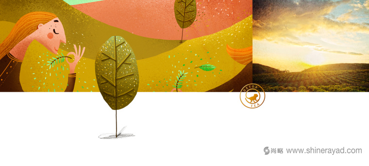 TITEA 伶猴品牌茶葉包裝設(shè)計(jì)插畫設(shè)計(jì)-上海包裝設(shè)計(jì)公司10