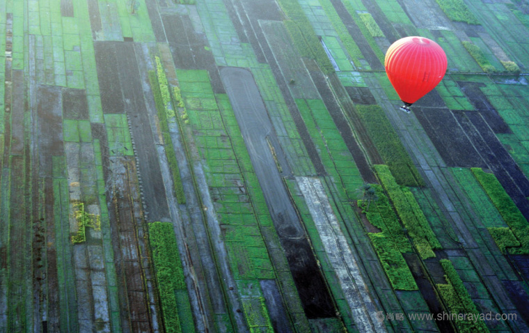 Worldpay 在線(xiàn)支付平面宣傳畫(huà)冊(cè)物料設(shè)計(jì)平面廣告設(shè)計(jì)-上海廣告設(shè)計(jì)公司2