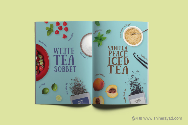 印度 Tea Trunk 茶葉品牌小象吉祥物畫冊(cè)設(shè)計(jì)-上海畫冊(cè)設(shè)計(jì)公司2