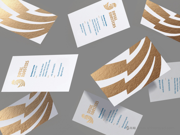 皇家馬球俱樂部圖騰公雞logo設(shè)計(jì)VI設(shè)計(jì)-上海logo設(shè)計(jì)-上海VI設(shè)計(jì)公司13