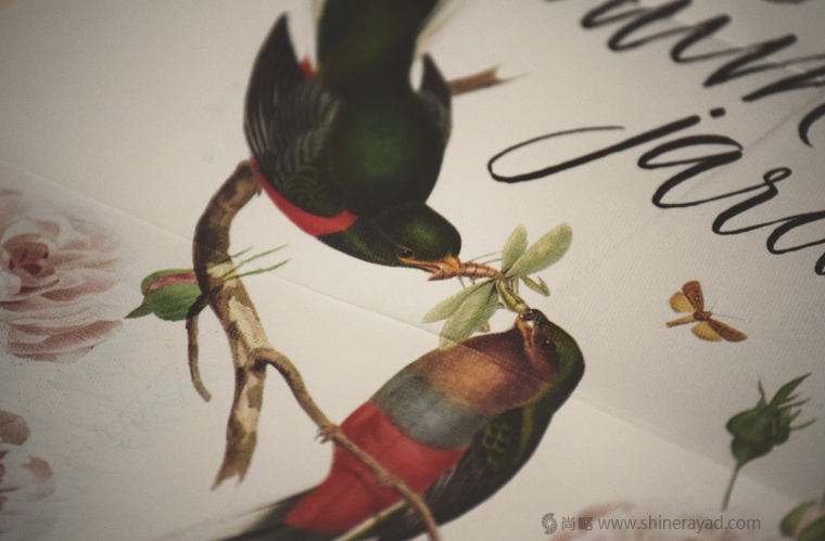 國(guó)外婚禮邀請(qǐng)函物料花鳥(niǎo)插畫(huà)設(shè)計(jì)藝術(shù)設(shè)計(jì)-上海品牌策劃設(shè)計(jì)公司10