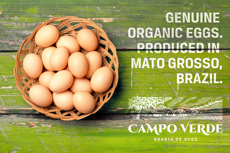 雞蛋主視覺插畫設(shè)計與雞蛋包裝設(shè)計-上海包裝設(shè)計公司5