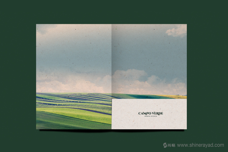Campo Verde 雞蛋農(nóng)場logo設(shè)計VI設(shè)計-上海logo設(shè)計公司8